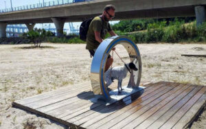 Abierta al público la playa canina de La Concha