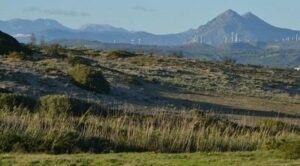 La Junta califica de "inviable ambientalmente" el plan parcial del PGOU de Guadalquitón