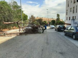 Andalucía Por Sí denuncia el abandono que sufren los vecinos de San José Artesano