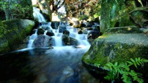 El fotógrafo Tomoyuki Hotta exhibe toda su producción artística en una página web