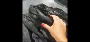 La mancha negra localizada en las piscinas naturales de Bolonia procede de una bacteria