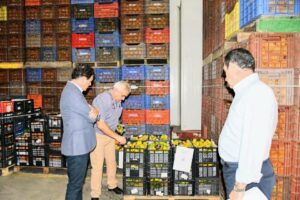 Dos cooperativas del Campo de Gibraltar reciben más de 280.00 euros en ayudas de la Junta