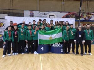 La escuela algecireña Chen Shi Taiji logra 52 medallas el el Campeonato Nacional de Artes Marciales