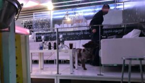 La Policía Nacional no encontró nada reseñable y no hubo detenciones en el registro a Kube