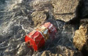 Verdemar denuncia la aparición de bidones de aceite en la dársena de El Saladillo