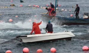 La pesca afronta una semana de alta tensión por las cuotas, brexit y la OMC