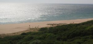 Investigan la aparición de un cadáver en una operación contra el narcotráfico en la comarca