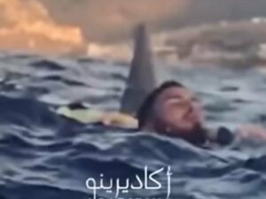 Un tiburón sorprende a dos marroquíes cuando nadaban en aguas del Estrecho