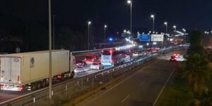 Conductores alertan de la presencia de una vaca deambulando por la carretera