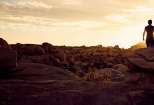 Descubre tu destino para el 2020