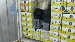 Incautados cerca de 200 kilos de cocaína oculta en un contenedor en el Puerto de Algeciras