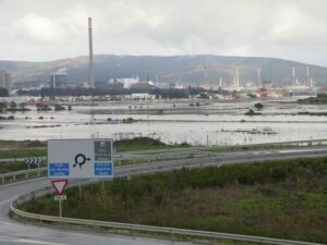 Verdemar dice que ante el cambio climático hay que recuperar los humedales de la Bahía de Algeciras