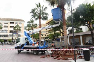 Parques y Jardines lleva a cabo la poda de las palmeras de la Plaza Alta