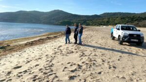 El Ayuntamiento reitera que las playas estarán en buen estado en Semana Santa a pesar de las algas