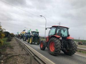 Los agricultores andaluces se concentrarán hoy en el puerto de Algeciras contra la competencia deselal