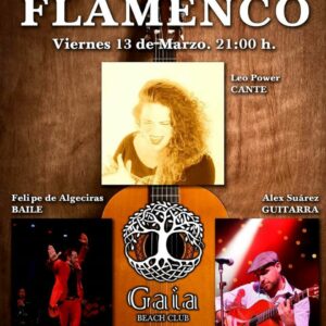 El flamenco en concierto a orillas del mar en Los Lances Beach Bulevar (Tarifa)