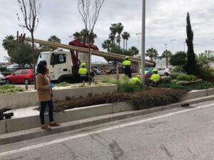 Comienza la renovación del alumbrado de la Acera de la Marina con los fondos Edusi