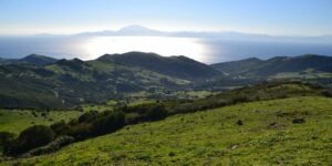 Verdemar rechaza el proyecto de instalación de una planta fotovoltaica en Getares