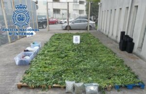 Detenidas dos personas en Algeciras por supuesto blanqueo de capitales derivado del tráfico de marihuana