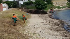 CCOO celebra la reincorporación de toda la plantilla del servicio de playas de Algeciras