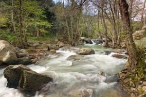 Medio Ambiente recuerda que está prohibido el baño en el río de La Miel y anuncia sanciones