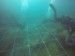 Programacion de PRIMAVERA AlCultura. Semana del 10 al 16 de junio de 2019