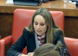 El PSOE achaca las averías en el tren a "las consecuencias de una década del PP sin inversiones"