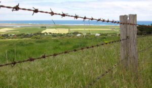 Fallece un hombre en Los Barrios electrocutado con la alambrada de su finca