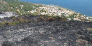 El incendio de Punta Carnero ha quemado 7,8 hectáreas de vegetación junto a las viviendas