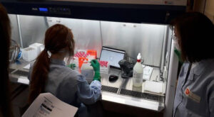 El fin de semana se salda en la comarca con 309 curados y 3 nuevos fallecidos por covid