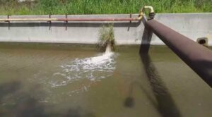 Verdemar denuncia vertidos procedentes del polo químico en el arroyo de Los Gallegos