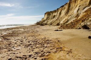 Científicos del Museo Nacional de Gibraltar colaboran en un importante descubrimiento paleontológico