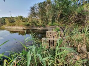Verdemar insiste a la Junta para que restablezca el cauce del río Palmones