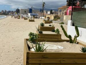 Ayuntamiento y la APBA se reúnen el 18 con 'Salvemos Rinconcillo' para informarle sobre el futuro de la playa