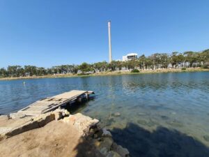 Verdemar pide recuperar las marismas de los ríos Palmones y Guadarranque al cerrar la térmica