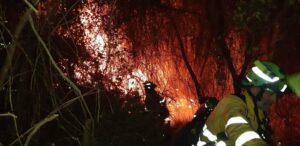 Medios aéreos se incorporan para combatir el incendio de Algeciras que evoluciona de forma favorable