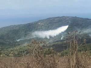 Algeciras, en riesgo alto de incendios forestales