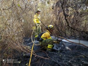 El Infoca trabaja para dar por controlado el incendio de Algeciras que ya afecta a unas 198 hectáreas