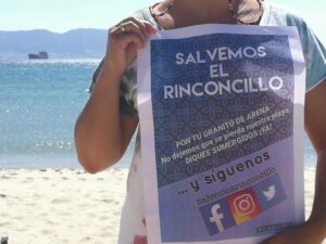 Salvemos Rinconcillo espera conocer en enero el estudio sobre las dinámicas de las mareas