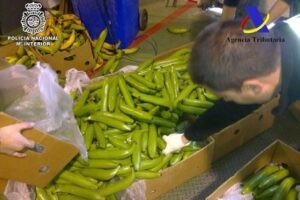 Hallan 45 kilos de cocaína en un contenedor cargado de bananas en el puerto de Algeciras