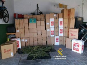 Desarticulada una red dedicada al contrabando de tabaco en San Roque