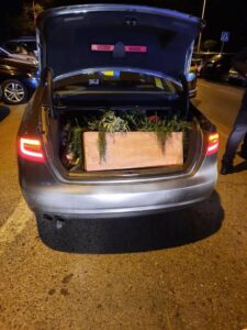 La Policía Local detiene a un hombre por sustraer un macetero junto a las ruinas meriníes