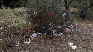 Verdemar denuncia la acumulación de basuras en el río de La Miel