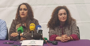 Cisma en Adelante Andalucía tras prosperar la petición de Nieto de expulsar a los ex miembros de Podemos