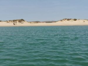 La CE abrió expediente en 2015 por infracciones que incluyen la desprotección de El Rinconcillo y Palmones