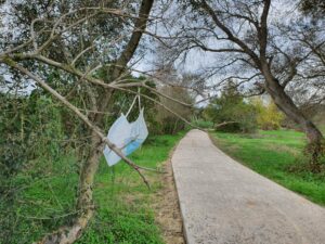 Verdemar alerta de la aparición desmesurada de mascarillas en el medio natural