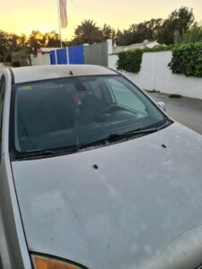 Verdemar denunciará ante la Junta vertidos de polvo y ceniza que atribuye a Acerinox en Palmones