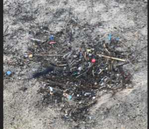 Verdemar alerta de la gran cantidad de residuos plásticos y colillas en la playa de El Rinconcillo