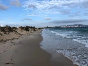 Salvemos Rinconcillo pide que sea el puerto quien pague los diques para salvar la playa