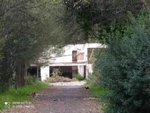 Adelante Algeciras exige a la Junta que aclare cuál es el futuro del Centro de Menores de El Cobre